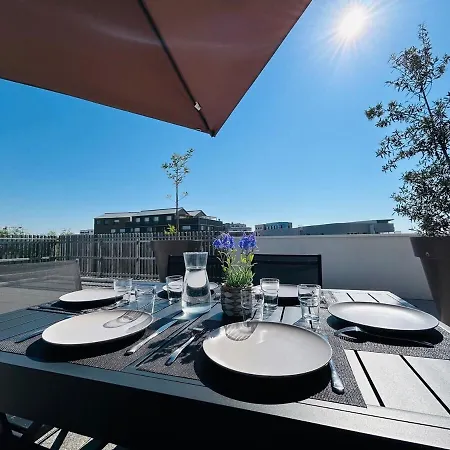 Casa Botanica : Rooftop1